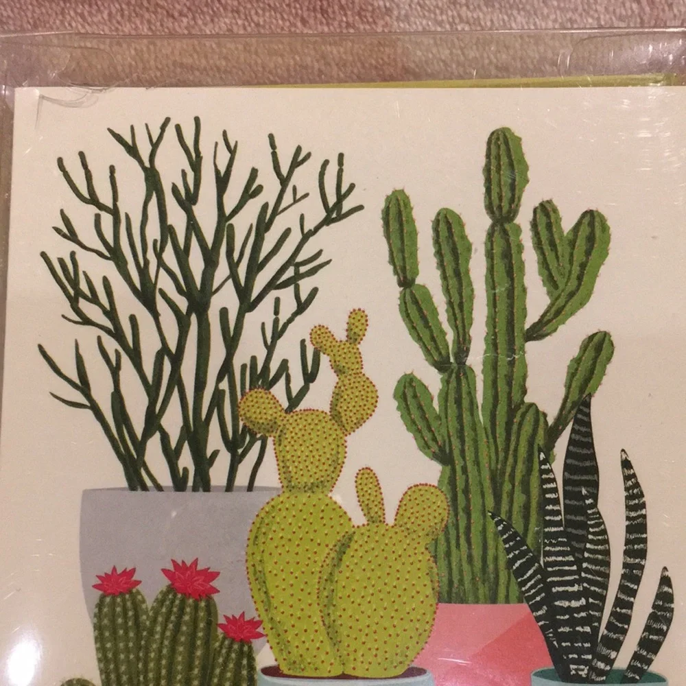 Cactus Succulent Note Card Set of 10 NWT with green envelopes recycled paper